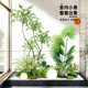 Simulated plant landscaping layout, indoor artificial flower tree window decoration under the stairs, bionic green plant landscaping combination