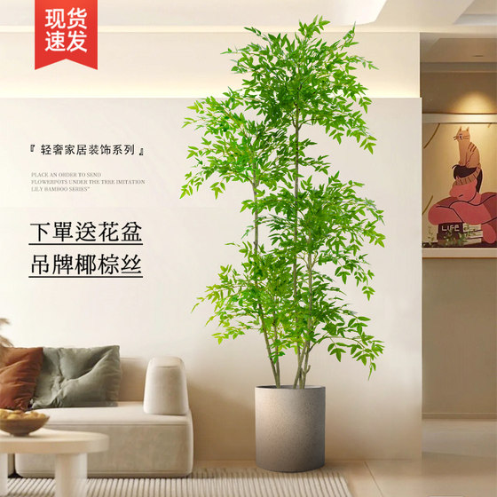Floor-standing ornaments, home accessories, TV cabinet, Nandina bamboo