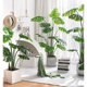 Nordic simulated green plants interior decoration ornaments