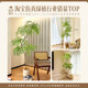 The new favorite in home decoration, simulated jacaranda