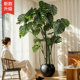 Simulated green plant Monstera high-end light luxury potted plant office decoration ornaments living room floor-standing bionic fake tree plant
