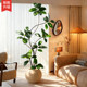 Simulated plant black diamond floor-standing potted indoor large-scale bionic green plant ornaments living room light luxury decorative flower fake tree