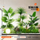 Simulated plant landscaping layout, indoor artificial flower tree window decoration under the stairs, bionic green plant landscaping combination
