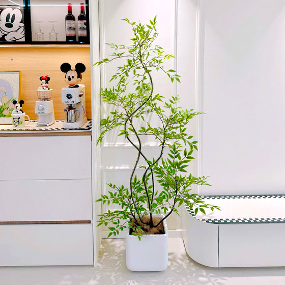 Nandina bamboo simulated green plant large indoor potted decorative flower ornaments living room floor-standing tree advanced bionic fake plant