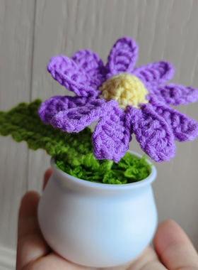 钩织花朵小盆栽永生花手工毛线钩织小礼物