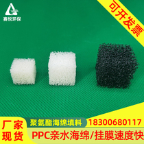 Modified hydrophilic polyurethane sponge bio-filler hanging membrane bacteria suspension filtration sewage treatment cycle water breeding