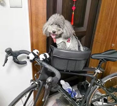 Mountain bike pet basket road bike with dog basket