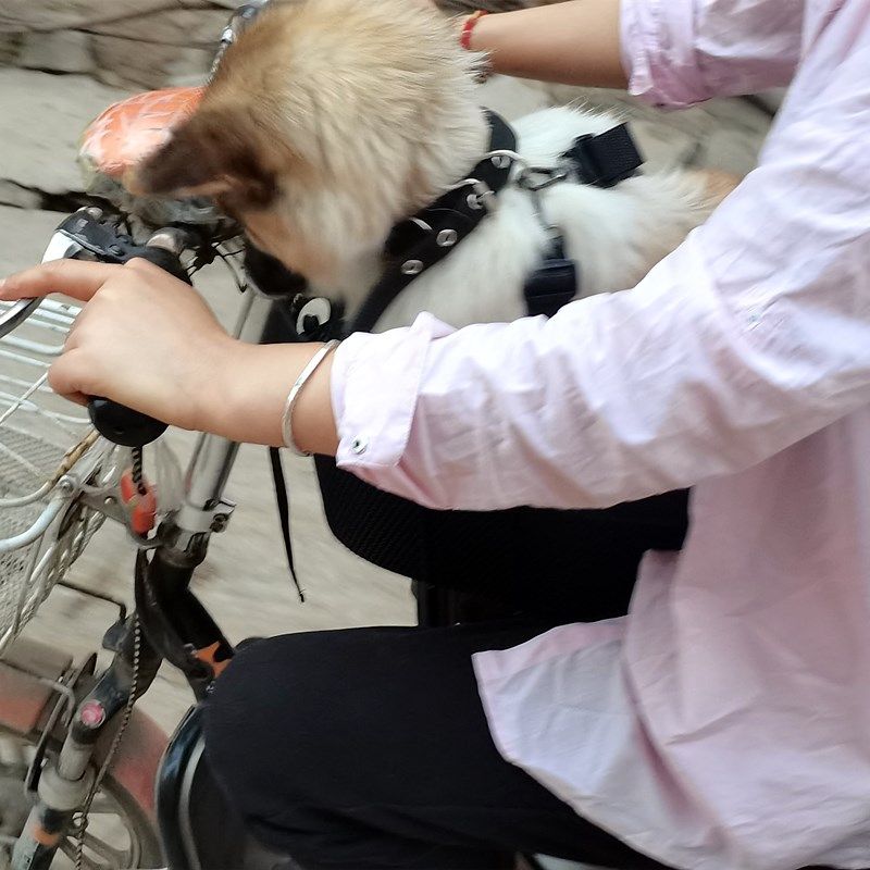 电动车带狗神器踏板车宠物座椅高景观带狗狗坐椅前置车载猫咪篮子,淘宝优惠券,粉丝福利购,淘宝优惠卷