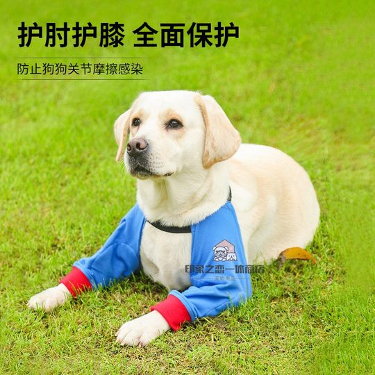 Border Collie Spezial-Hunde-Vorderbein-Ellenbogen-Schutzkleidung, Knie-Ärmel, verschleißfester Haustier-Gelenkschutz, Bein-Ärmel, um Schmutz beim Ausgehen zu verhindern