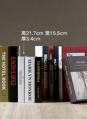 简约现代风全英文网咖摄影仿真书