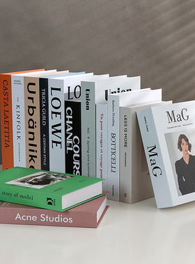 假书仿真书装饰品样板房网咖书房桌面摆件英文简约现代道具书盒