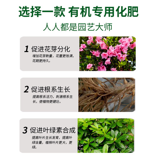 杜鹃花专用肥增根壮苗促花期颗粒缓释型生物菌肥全营养易吸收盆栽 - 图2