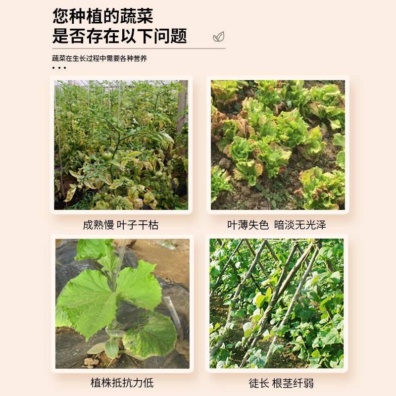 蔬菜专用营养液有机肥料家用盆栽无土栽培种植水培植物营养液通用,淘宝优惠券,粉丝福利购,淘宝优惠卷