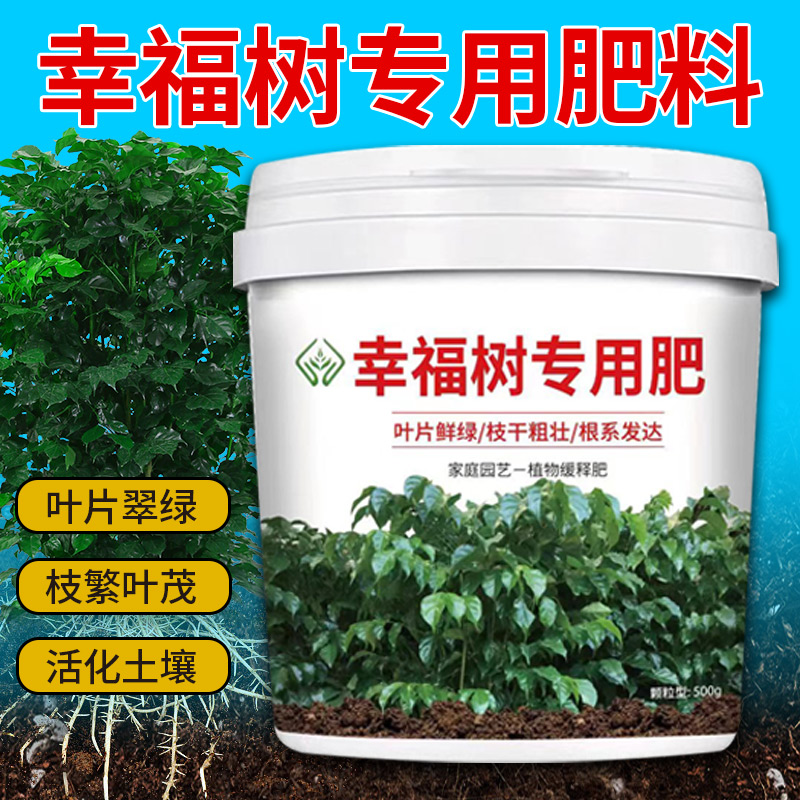 幸福树肥料专用肥增根壮苗除菌防掉叶盆栽小菜园通用四季有机肥料 - 图0