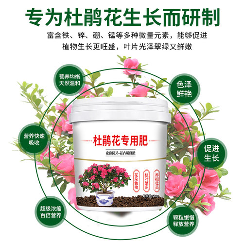 杜鹃花专用肥增根壮苗促花期颗粒缓释型生物菌肥全营养易吸收盆栽 - 图1