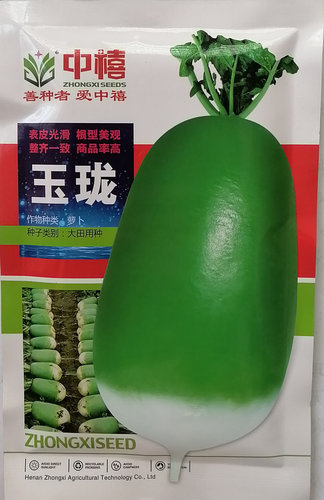 郑研K19萝卜种子 青皮青肉 口感脆甜 水果萝卜种籽 高产791萝卜 - 图3