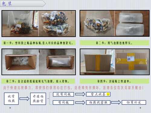 南京艺莲苑碗莲新手捡宝（混装 随机）碗莲种藕 - 图2