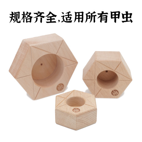 牧野虫社甲虫果冻台底座锹形虫锹甲和独角仙中国大锹活虫昆虫成虫 - 图0