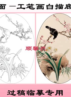 NT48花鸟椭圆形扇面工笔画白描底稿线描兰花竹子荔枝仙鹤水仙梅花