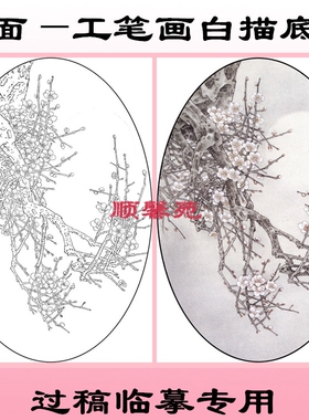 NT50花鸟工笔画白描线描底稿国画稿椭圆形扇面兰花梅花玉兰水仙