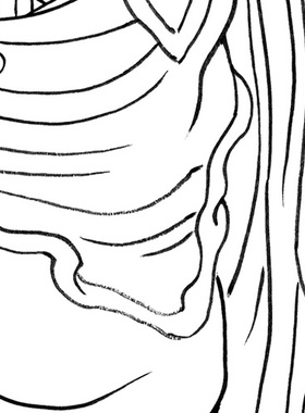 可直接上色工笔画白描底稿熟宣纸