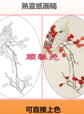 NT53鹦鹉红叶喜鹊梅花花鸟椭圆形扇面熟宣纸工笔画白描稿直接上色
