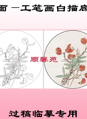 线描扇面茶花竹子红叶寿桃工笔画