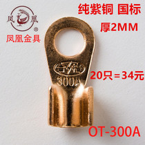 pure red copper national standard opening nose 300A copper wire ear copper wire nose copper connector copper wiring terminal 20 only