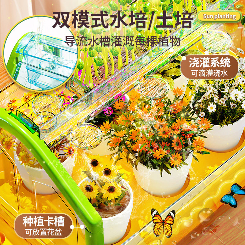 阳光种植房儿童科学小实验套装种菜植物生长观察盒益智玩具男孩女,淘宝优惠券,粉丝福利购,淘宝优惠卷