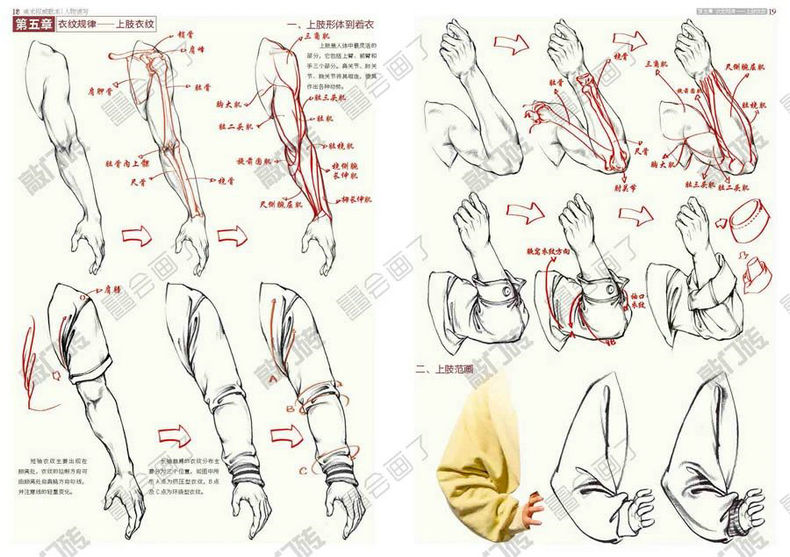 李家友【送橡皮】美术权威教本人物速写2021敲门砖初学者入门零基础人物速写范画站姿坐姿手脚临摹素材艺考参考绘画教材 - 图2