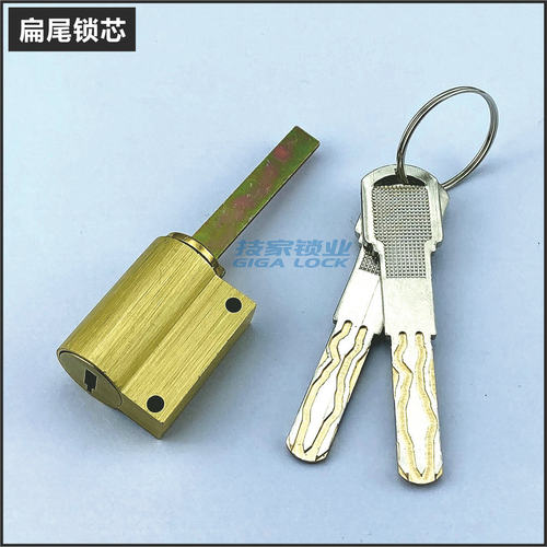 适用ORVIBO欧瑞博锁芯智能锁指纹锁电子门扁杆带尾巴应急伸缩锁头 - 图3