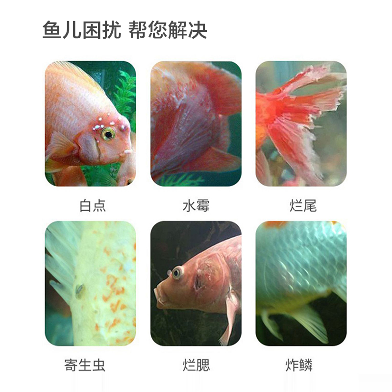 液体黄粉鱼缸用鱼病调理杀菌消毒锦鲤鹦鹉烂肉烂鳞烂身烂尾非鱼药 - 图1