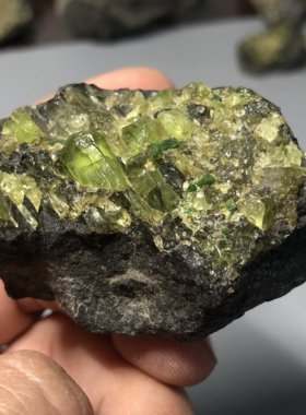 原石橄榄石水晶矿物晶体教学标本