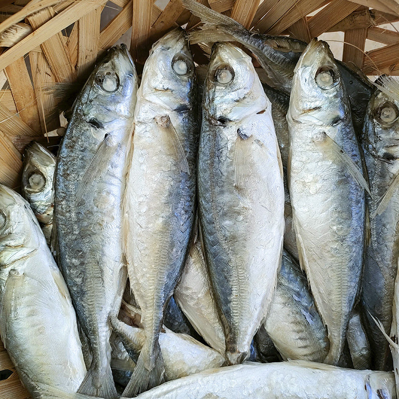 当天海捕现做潮汕打冷巴浪鱼饭福建闽南即食海鲜水产现煮熟鱼海鱼,淘宝优惠券,粉丝福利购,淘宝优惠卷