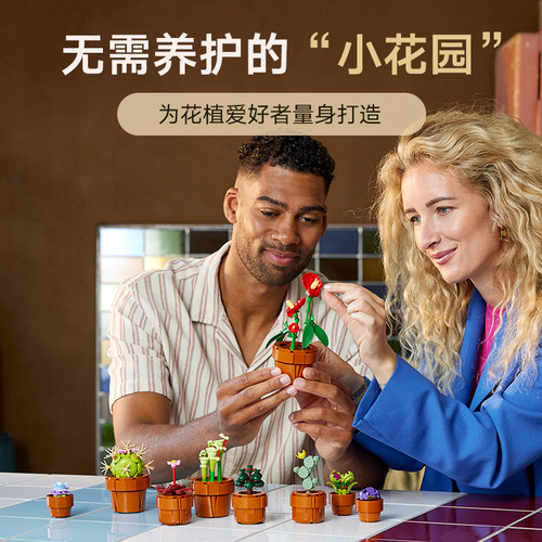 【母亲节礼物】乐高官方旗舰店10329迷你盆栽永生花积木玩具玩具 - 图1