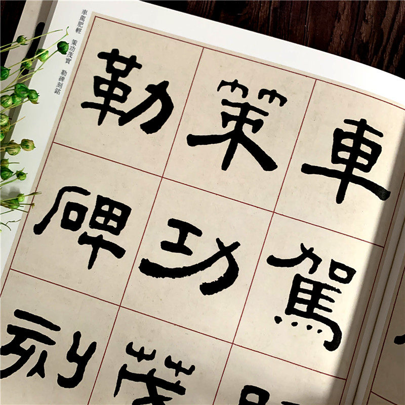 王福庵隶书千字文 清代隶书名家经典清代隶书名家经典超清原贴赵宏主编繁体旁注隶书碑帖练字帖临摹范本中国书店,淘宝优惠券,粉丝福利购,淘宝优惠卷