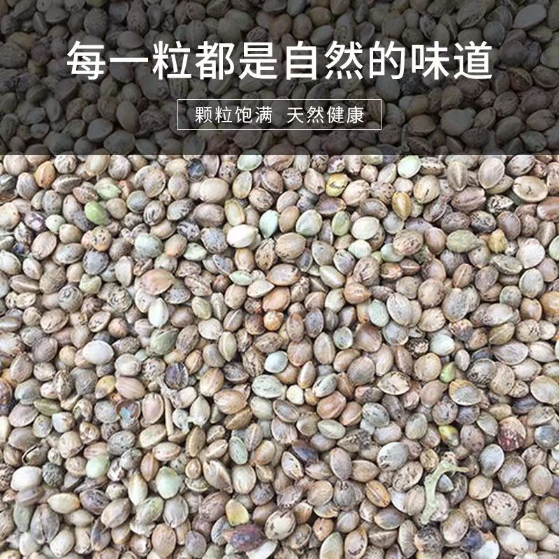 麻子鸟粮火麻仁火麻籽鸽粮麻仁籽火麻子鸟食小颗粒鹦鹉仓鼠松鼠粮-图1