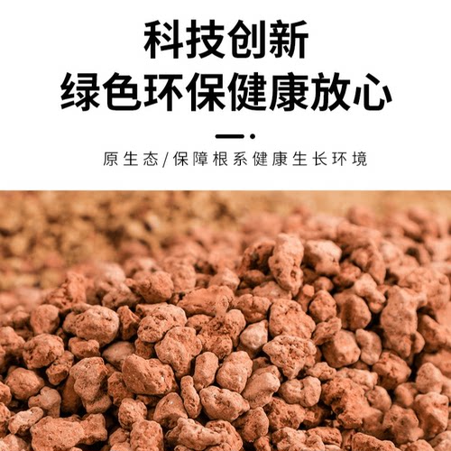 国产硬质赤玉土金松专用颗粒进口兰花三本营养铺面盆景多肉盆栽 - 图2