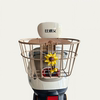 Electric vehicle backrest enlarged rear hanging basket