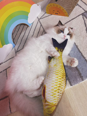 帅趴趴 草鱼型抱枕猫玩具猫枕头宠物猫薄荷玩具用品逗猫棒 虎窝淘