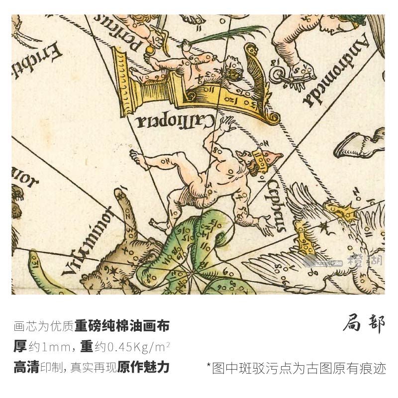 1515年丢勒古典星图之北天球图星空星座复古地图竖款布画芯装饰画 - 图2