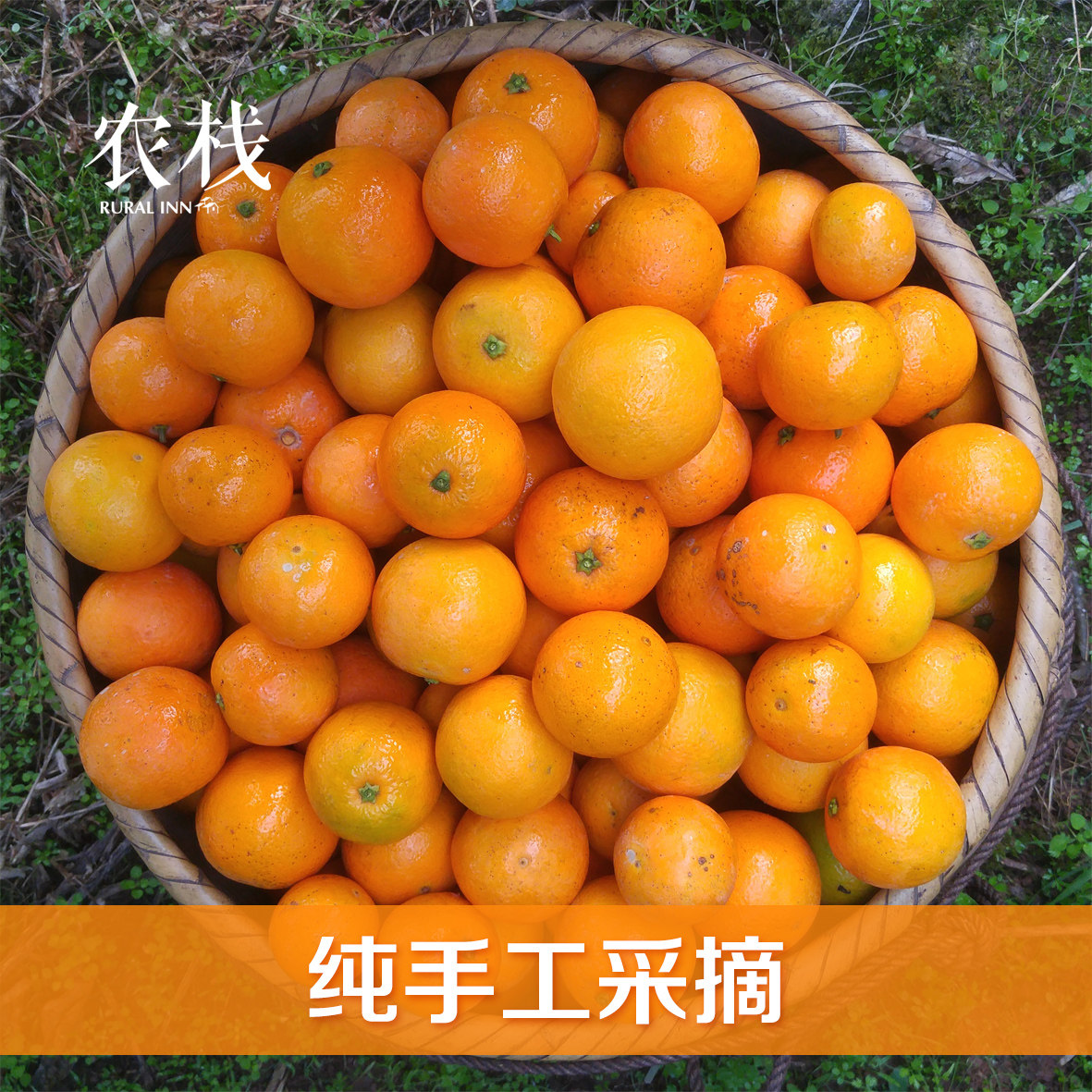 湖南黔阳冰糖橙新鲜水果橙子超甜当季甜橙现摘麻阳永兴橙10斤包邮,淘宝优惠券,粉丝福利购,淘宝优惠卷