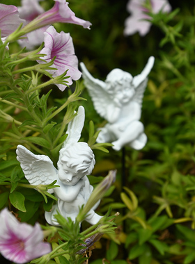 花园先生花盆装饰植物天使插件