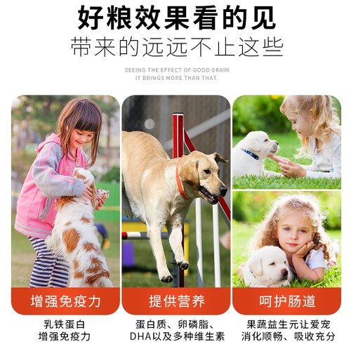 艾尔蛋黄奶糕成幼犬通用泰迪比熊美毛多维成犬营养狗粮1.5kg10kg - 图1