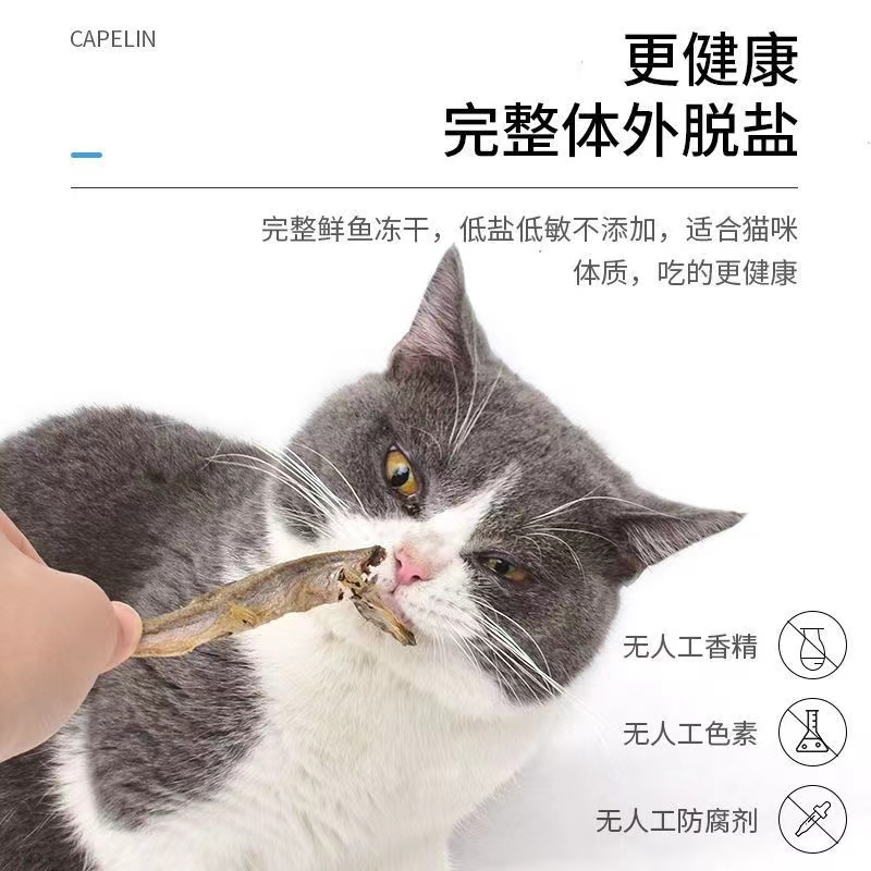 宠物冻干满耔多春鱼美毛猫零食小鱼干增肥发腮补钙成幼猫粮狗零食