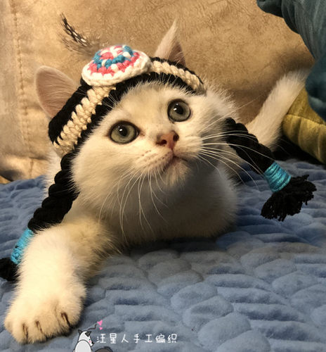 宠物搞笑帽子饰品 土著人印第安人头饰 猫咪头套拍照抖音道具 - 图0