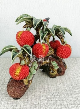 石湾公仔陶瓷大师手工荔枝摆件