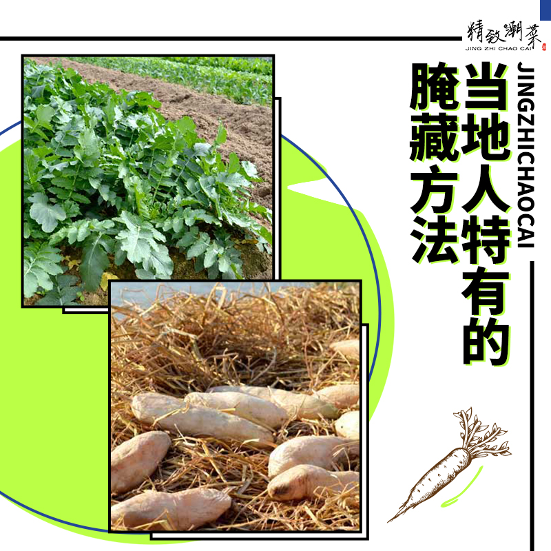 精致潮菜 潮州特产 咸味菜脯粒 新鲜萝卜粒半斤 日晒窖藏更香 - 图0