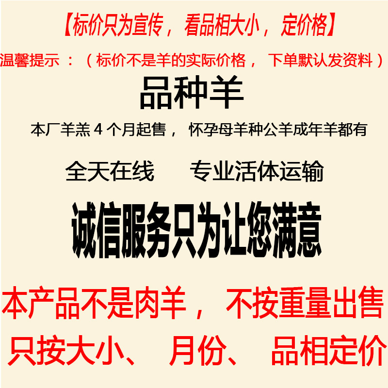 努比亚黑山羊小羊活苗努比亚黑山羊活羊怀孕母羊配种公羊养殖技术 - 图0