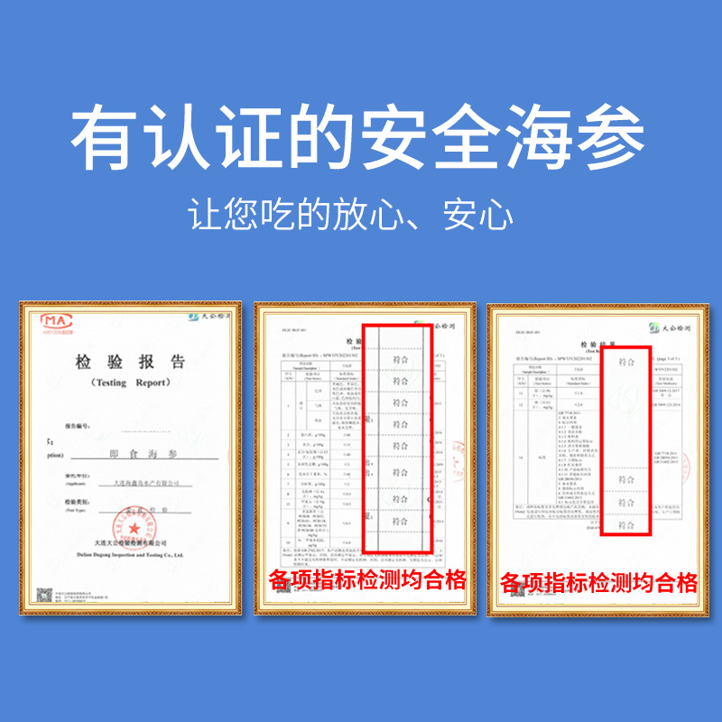 大连海参即食冷冻水产深海野生辽参海生刺参鲜活速食非干货500g克-图0